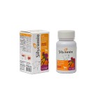 Silycumin 90 tb